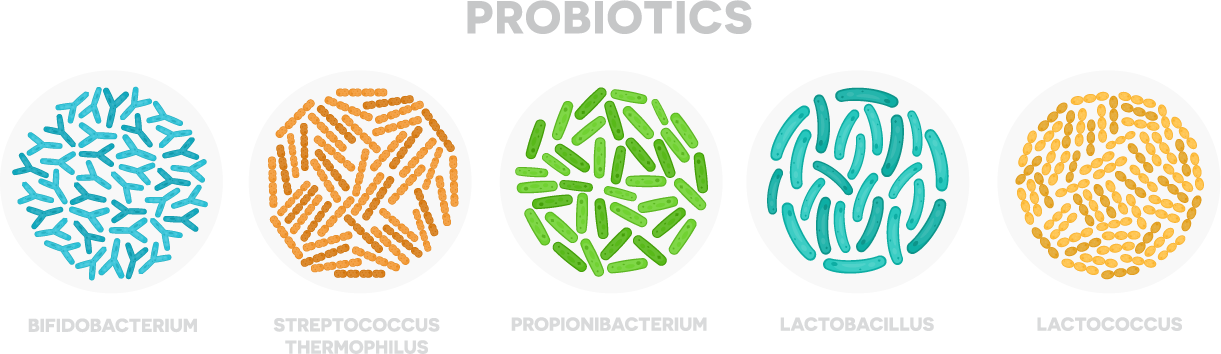 probiotics